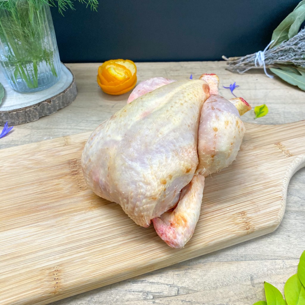 COQUELET